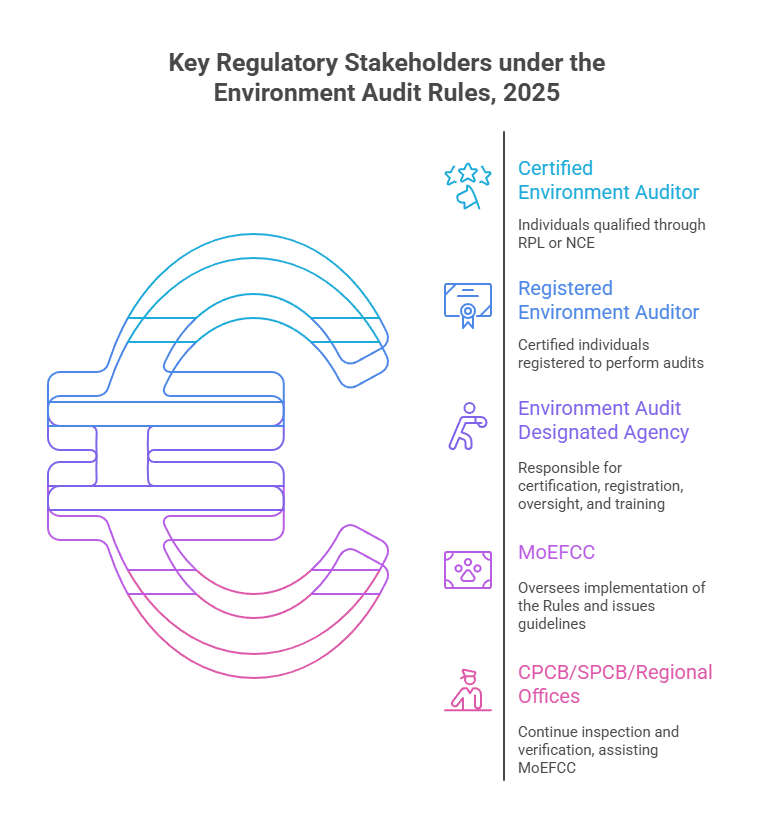 Key_Regulatory_Stakeholders_Environment_ Audit Rules